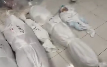 Rumah Sakit di Gaza Krisis Kain Kafan Imbas Agresi Israel yang Makin Beringas